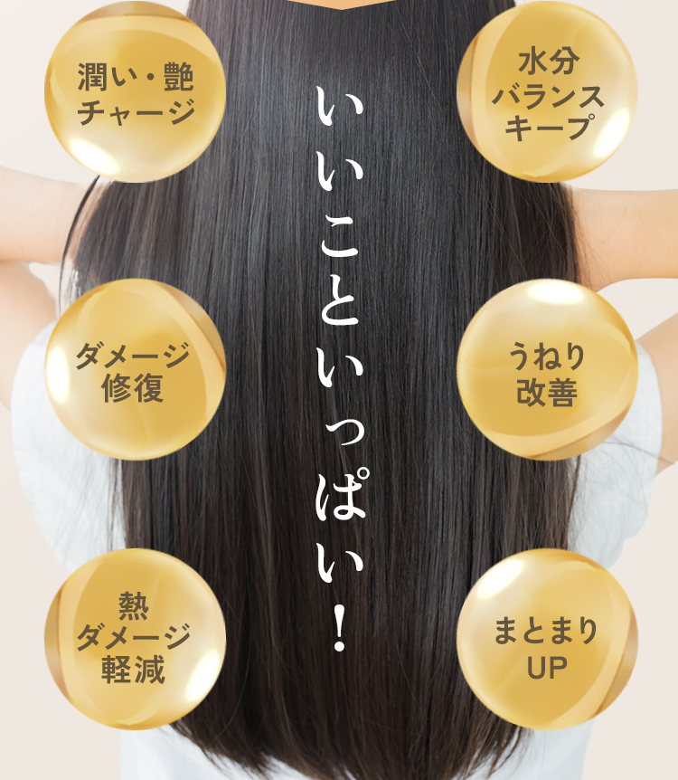 潤い・艶チャージ　水分バランスキープ　ダメージ修復　うねり改善　熱ダメージ軽減　まとまりUP　いいこといっぱい！