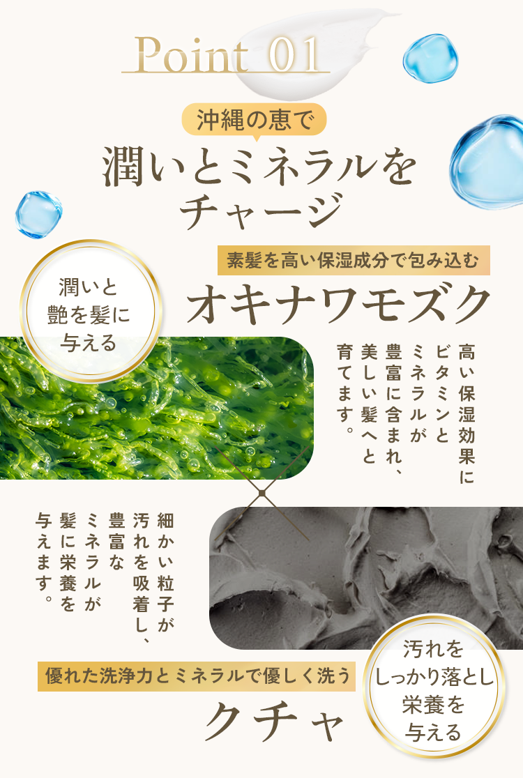 ポイント01　沖縄の恵で潤いとミネラルをチャージ　潤いと艶を髪に与えるオキナワモズク　汚れをしっかり落とし栄養を与えるクチャ